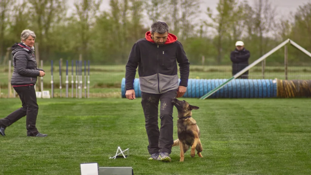 dog-race-with-owner-giving-instructions-dog-1